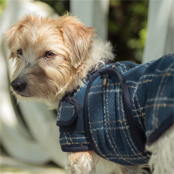 2025 Eskadron Heritage Boucle Dog Coat 181158 252 380 - Navy